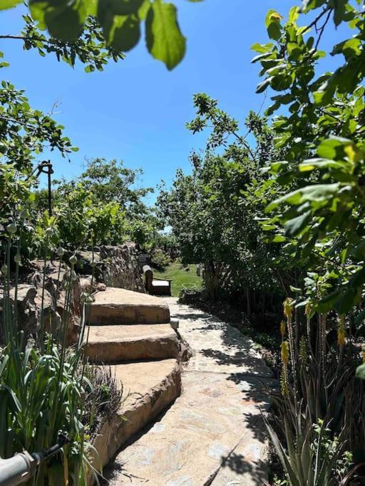 Lilly'S Finca - Romantischter Rueckzugsort - Pool Vilaflor Exterior photo
