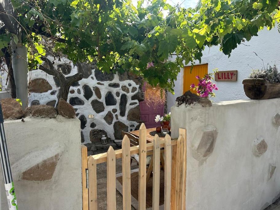 Lilly'S Finca - Romantischter Rueckzugsort - Pool Vilaflor Exterior photo